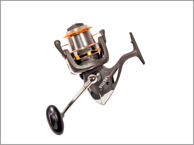 Tierra Catfish FD